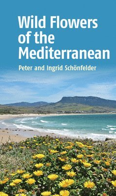 bokomslag Wild Flowers of the Mediterranean