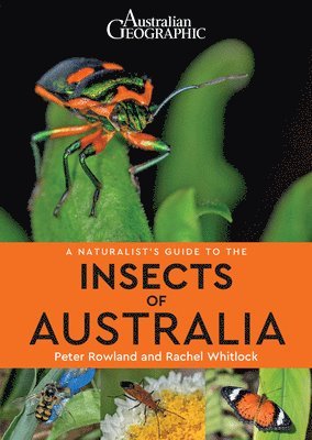 Peter Rowland, Rachel Whitlock - A Naturalist's Guide to Insects of Australia, Häftad