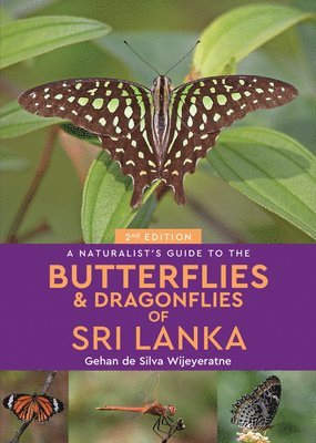 bokomslag A Naturalist's Guide to the Butterflies of Sri Lanka (2nd edition)