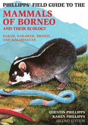 bokomslag Phillipps Field Guide to the Mammals of Borneo (2nd edition)