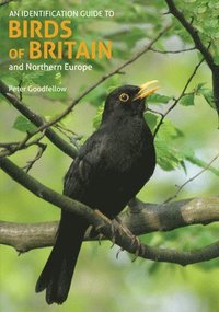 bokomslag An Identification Guide to Birds of Britain and Northern Europe (2nd edition)