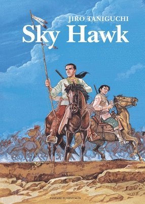 bokomslag Sky Hawk