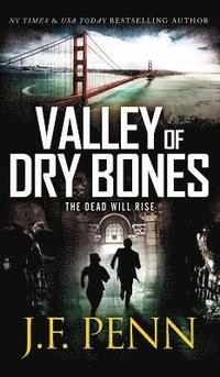 bokomslag Valley of Dry Bones