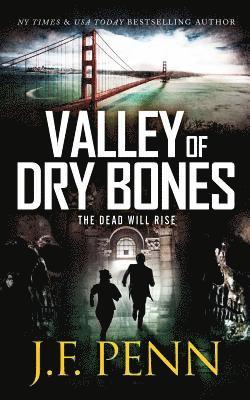bokomslag Valley of Dry Bones