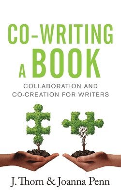 Co-writing a Book 1