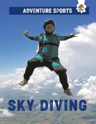 bokomslag Sky Diving