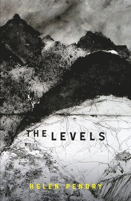 The Levels 1