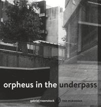 bokomslag Orpheus in the Underpass