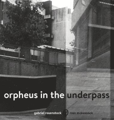 Gabriel Rosenstock - Orpheus in the Underpass, Inbunden