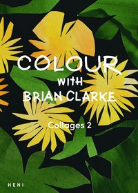 bokomslag Colour with Brian Clarke: Collages 2