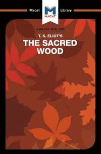 bokomslag An Analysis of T.S. Eliot's The Sacred Wood