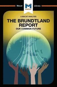 bokomslag An Analysis of The Brundtland Commission's Our Common Future