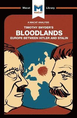 bokomslag An Analysis of Timothy Snyder's Bloodlands