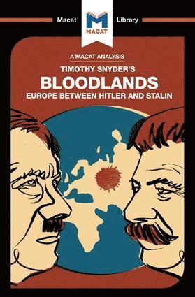 Analysis of Timothy Snyder's Bloodlands