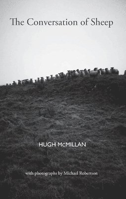 Hugh McMillan - Conversation of Sheep, Häftad