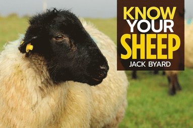bokomslag Know Your Sheep