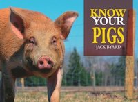bokomslag Know Your Pigs