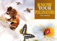 bokomslag Know Your Pollinators