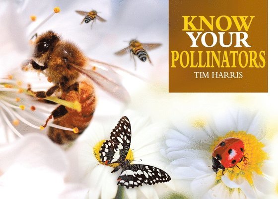 Know Your Pollinators 1