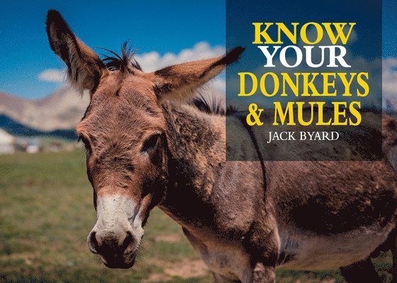 Know Your Donkeys & Mules 1