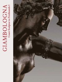 bokomslag Giambologna: Court Sculptor to Ferdinando I