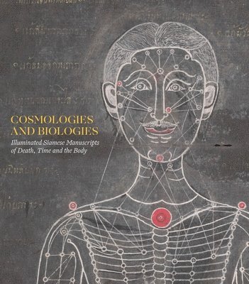 Cosmologies and Biologies 1