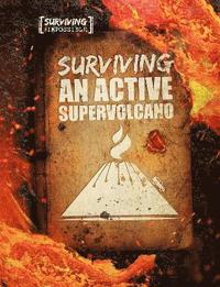 bokomslag Surviving an Active Supervolcano