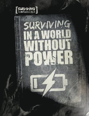 bokomslag Surviving in a World Without Power