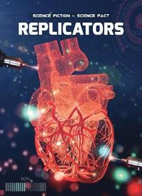 bokomslag Replicators