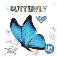 bokomslag Butterfly