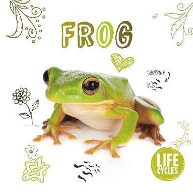 bokomslag Frog