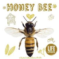 bokomslag Honey Bee