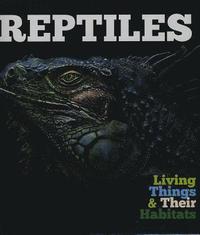 bokomslag Reptiles