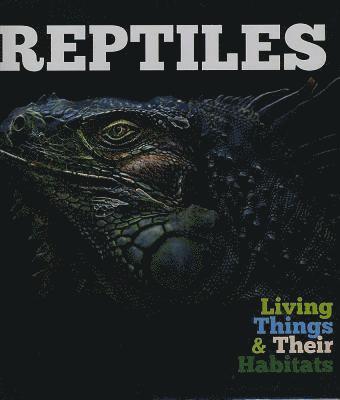 Reptiles 1