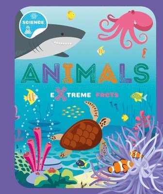 Animals 1