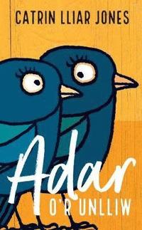 bokomslag Adar o'r Unlliw