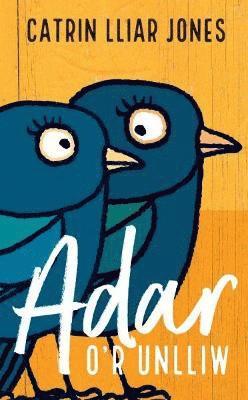 bokomslag Adar o'r Unlliw