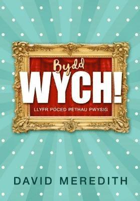 bokomslag Bydd Wych!