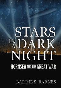 bokomslag Stars in a Dark Night