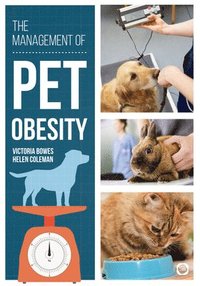 bokomslag Management of Pet Obesity