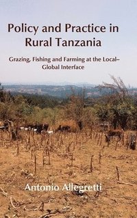 bokomslag Policy and Practice in Rural Tanzania