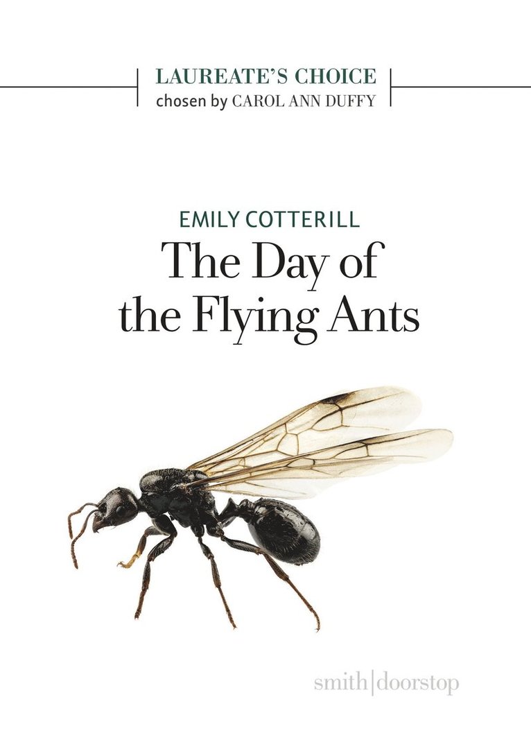 Emily Cotterill - Day of the Flying Ants, Häftad