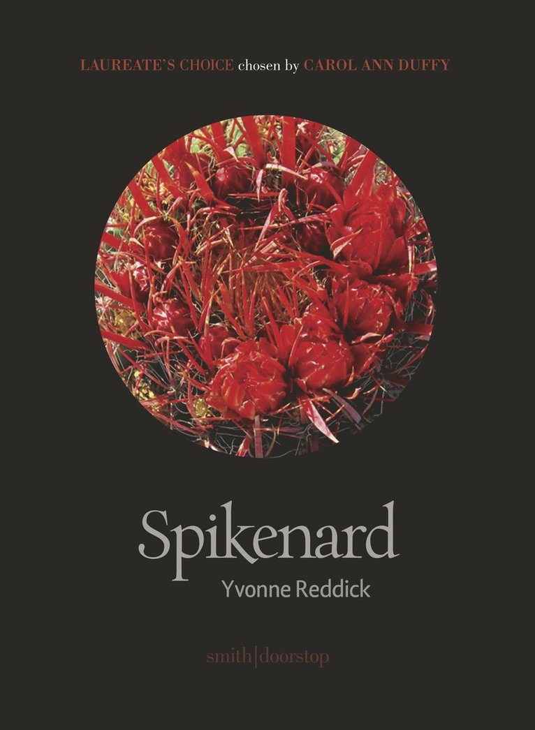 Spikenard 1