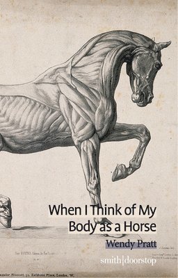 bokomslag When I Think of My Body as a Horse