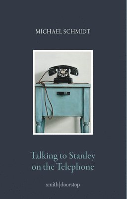 bokomslag Talking to Stanley on the Telephone