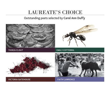 Faith Lawrence, Thirza Clout, Emily Cotterill, Victoria Gatehouse - Laureate's Choice 2019 Bound Collection 2, Häftad