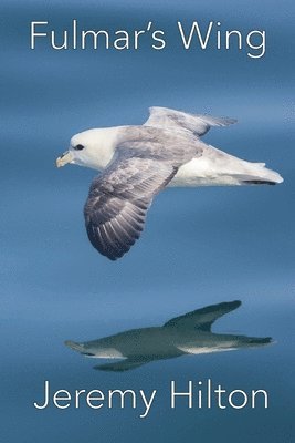 Jeremy Hilton - Fulmar's Wing, Häftad