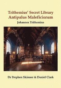 bokomslag Antipalus Maleficiorum