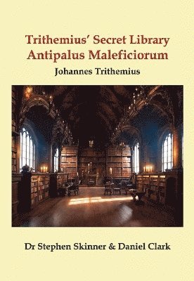 bokomslag Antipalus Maleficiorum