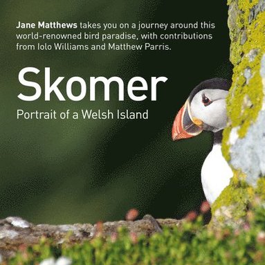 bokomslag Skomer - Portrait of a Welsh Island